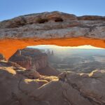 Marek Krzystanek and Joanna Cesarz-Krzystanek