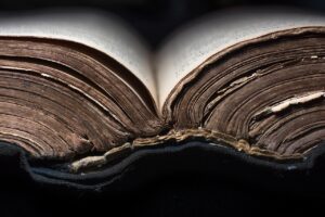 old, book, reading, real, home, open, love, macro, wisdom