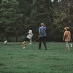 a group of people standing on top of a lush green field