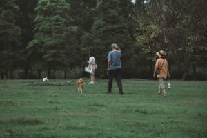 a group of people standing on top of a lush green field